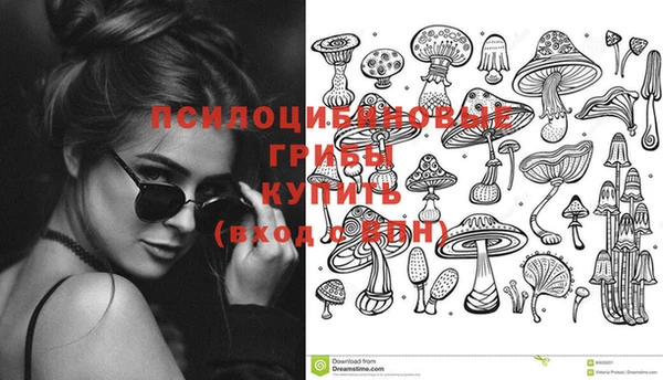 ешки Балахна