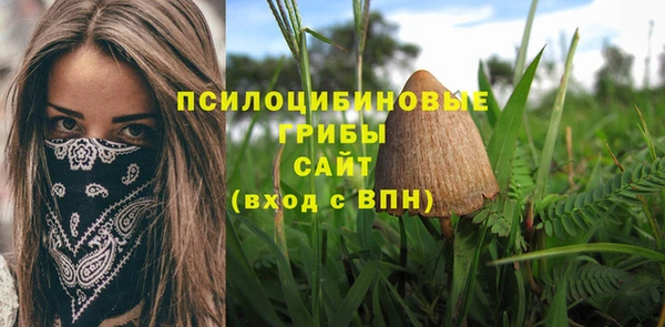 ешки Балахна