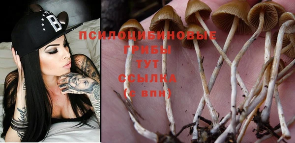 ешки Балахна