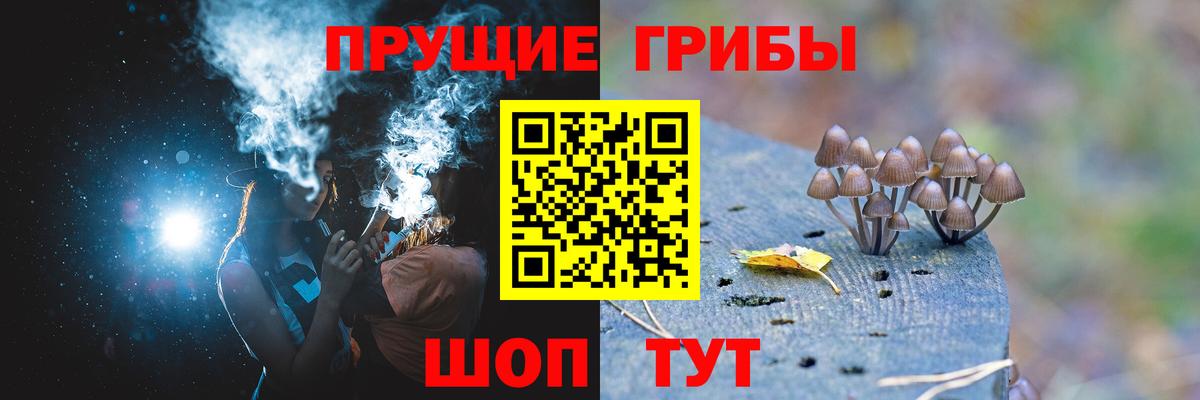 Галлюциногенные грибы Psilocybe Борисоглебск