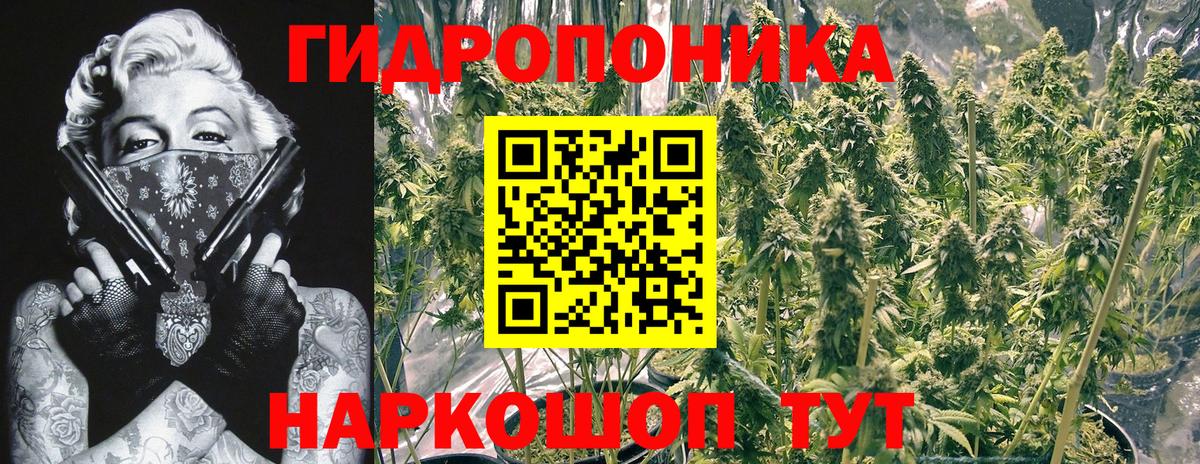 Бошки марихуана конопля Борисоглебск